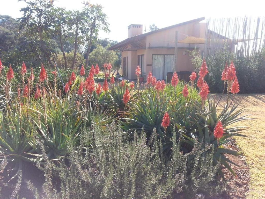 Ama Casa Cottages Champagne Valley Bagian luar foto