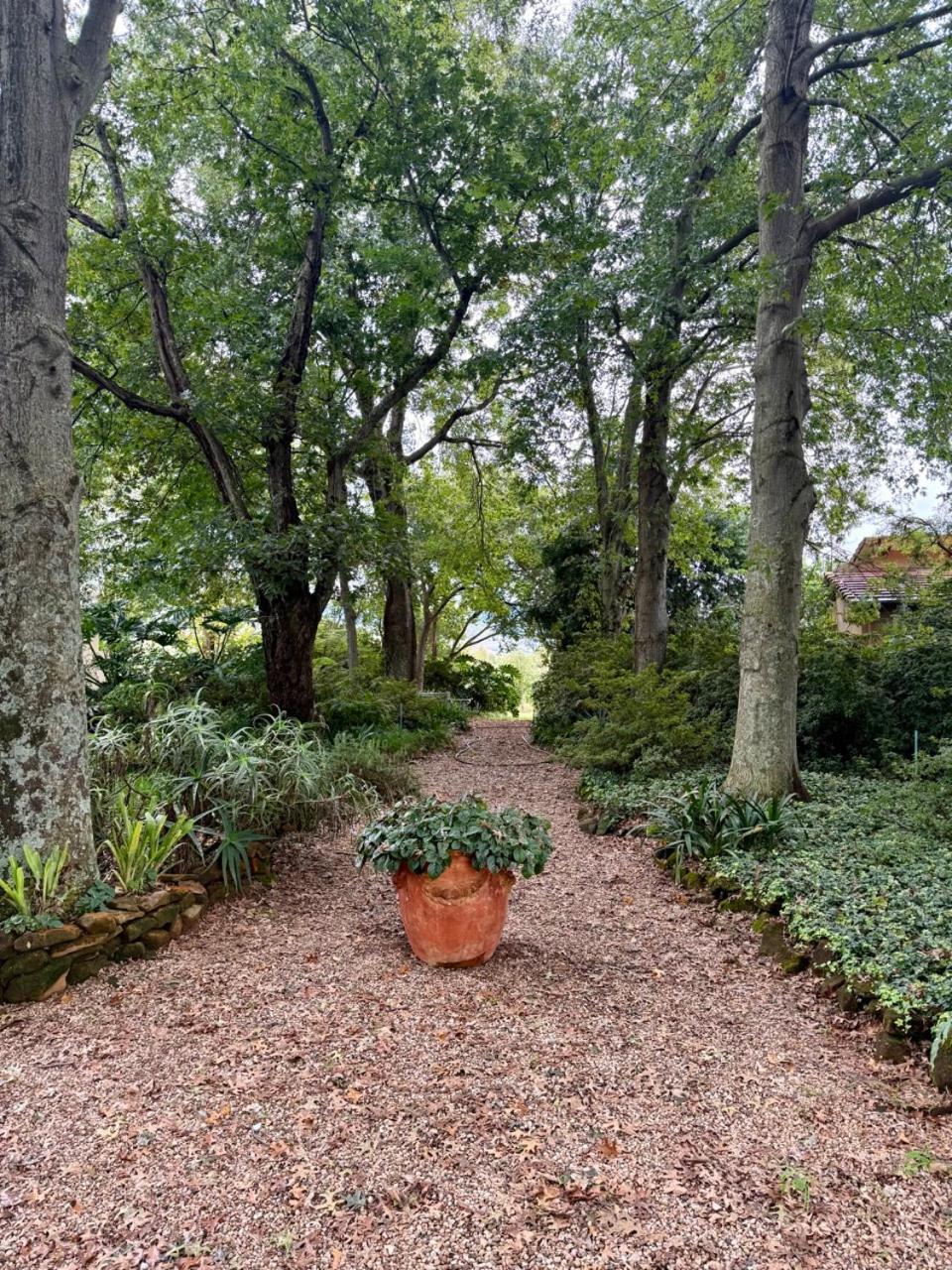 Ama Casa Cottages Champagne Valley Bagian luar foto