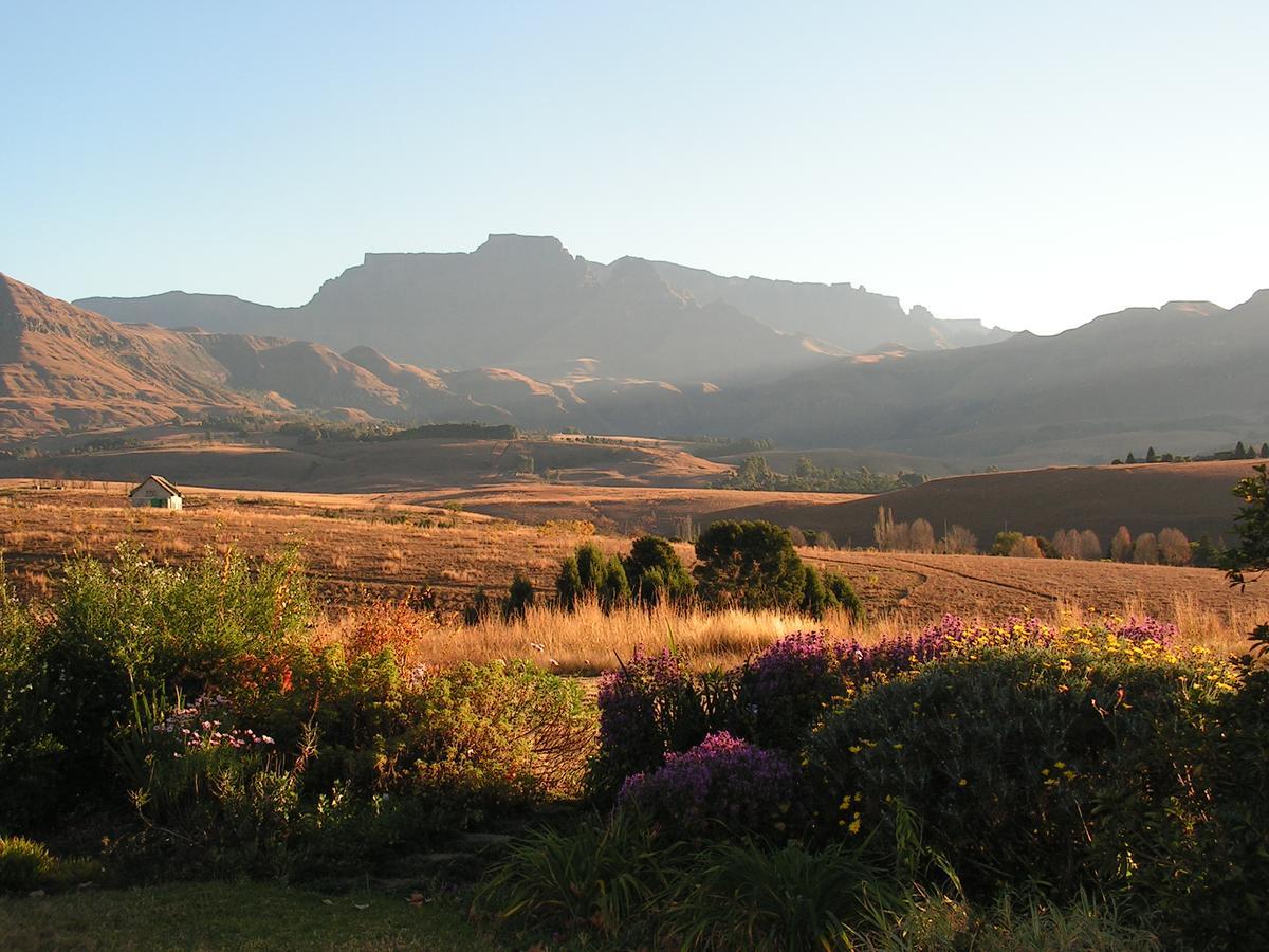 Ama Casa Cottages Champagne Valley Bagian luar foto